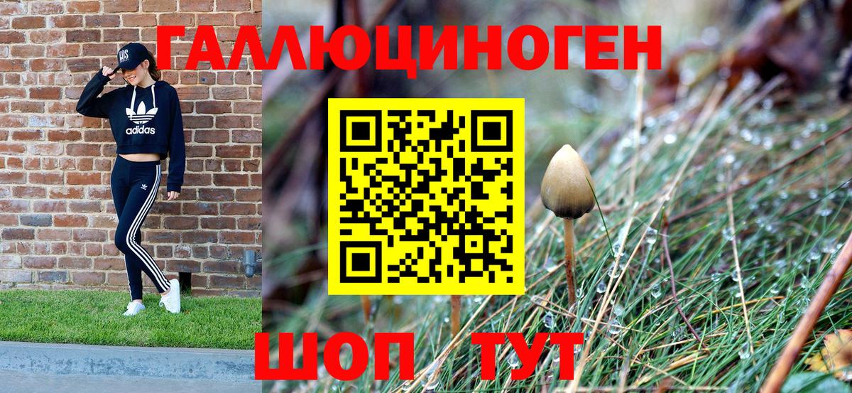 Дзержинский  Галлюциногенные грибы Magic Shrooms  Галлюциногенные грибы Psilocybe  Вход с VPN 